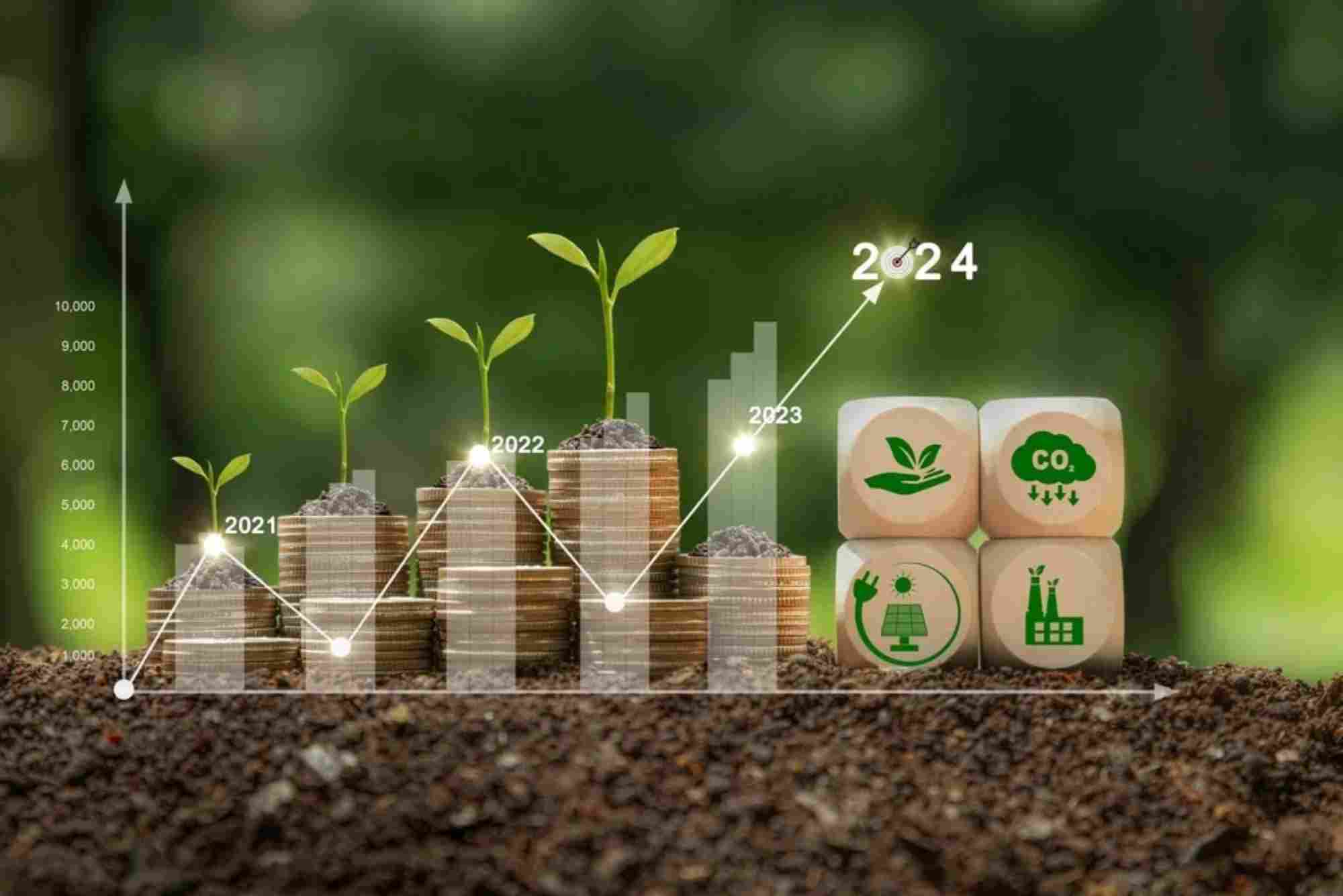 Carbon Offset Investment