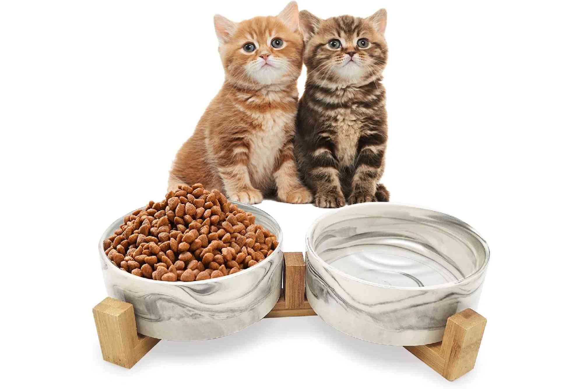 Cat Food Bowl With Moat