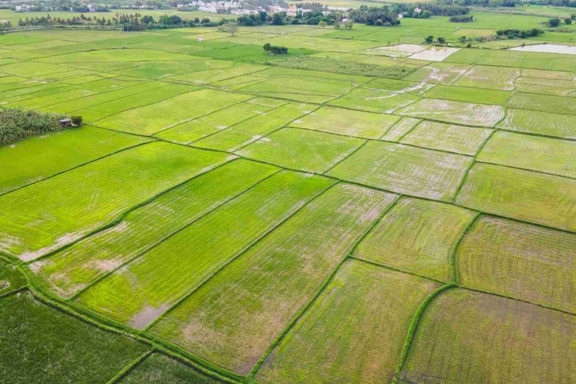Pay Land Tax Online Kerala