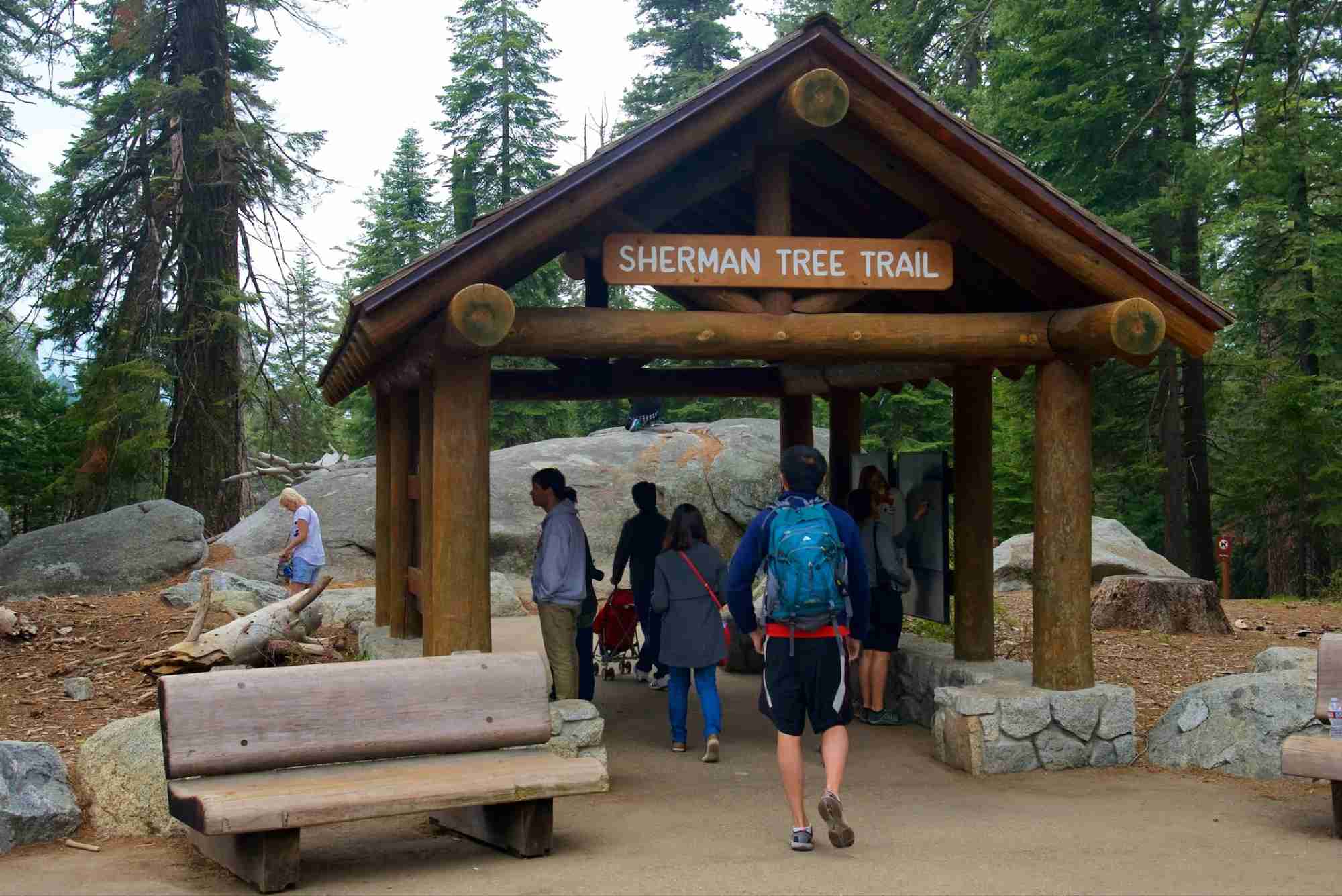 Shermans Travel Reviews